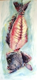 fish_study