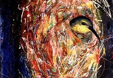 entangled_bird