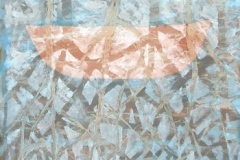 mangroves2