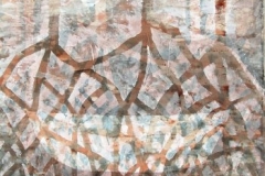 mangroves4
