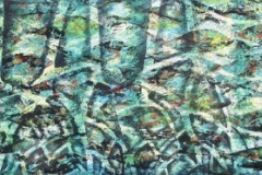 mangroves5