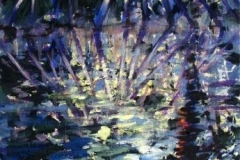 mangroves1