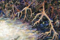 mangroves2-1