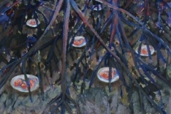 mangroves5-1