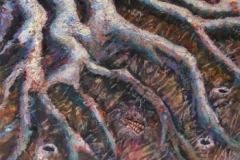 mangroves6