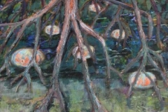 mangroves7