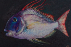 fish_study-2