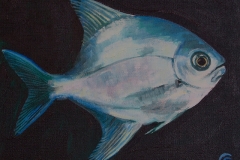 fish_study2