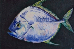 fish_study3